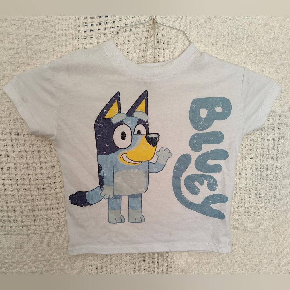 Bluey Tee Shirt Short Sleeve Size 3T